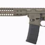 LWRC International IC-A5 I 223 Rem Semi-Auto Carbine 30rd Tungsten Grey