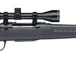 SAVAGE ARMS AXIS 223REM BL/SYN CPT PKG TB
