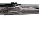 SAVAGE ARMS A22 22MAG BL/LAM 22" T'HOLE