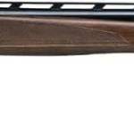 BRN CYN CX OU 12M/30MC