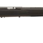 SAVAGE ARMS MARK I BOLT 22LR BL/SYN TARG