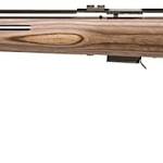SAVAGE ARMS 93 BOLT 17HMR SS/LAM THBHL LH