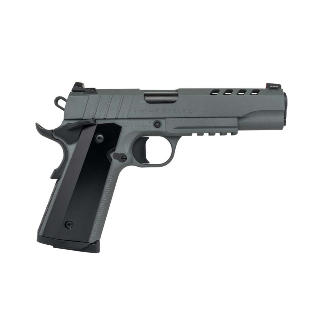 Tisas 10100512 1911 Night Stalker .45 ACP 5" 8+1 Platinum Grey