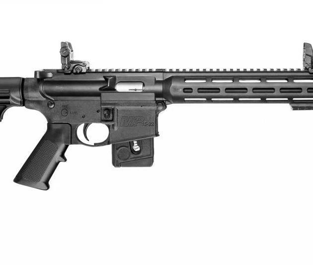 SMITH AND WESSON M&P15-22 SPORT 22LR 10+1 CA