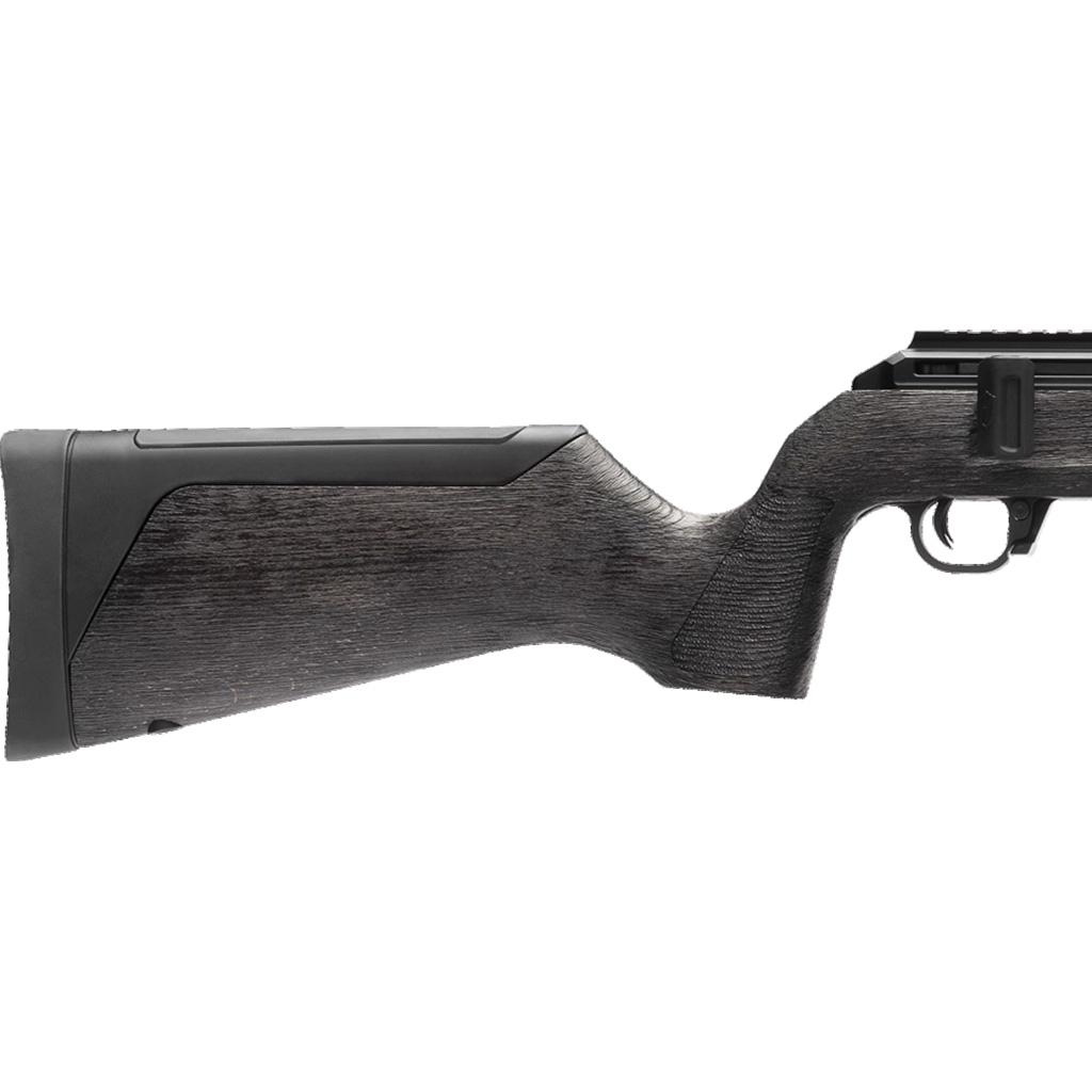 WAI HAM FRC B1 22LR ANTGRY 10R - Image 2