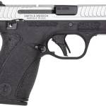 S&W BG2.0 380 12R 2TN TS NS DE