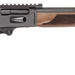 S&W 1854 45-70 20B WLNT 250TH