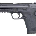 SMITH AND WESSON M&P380 SHIELD EZ 380ACP NTS