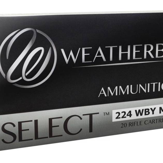 WEATHERBY 224WBY 55GR SPIRE POINT