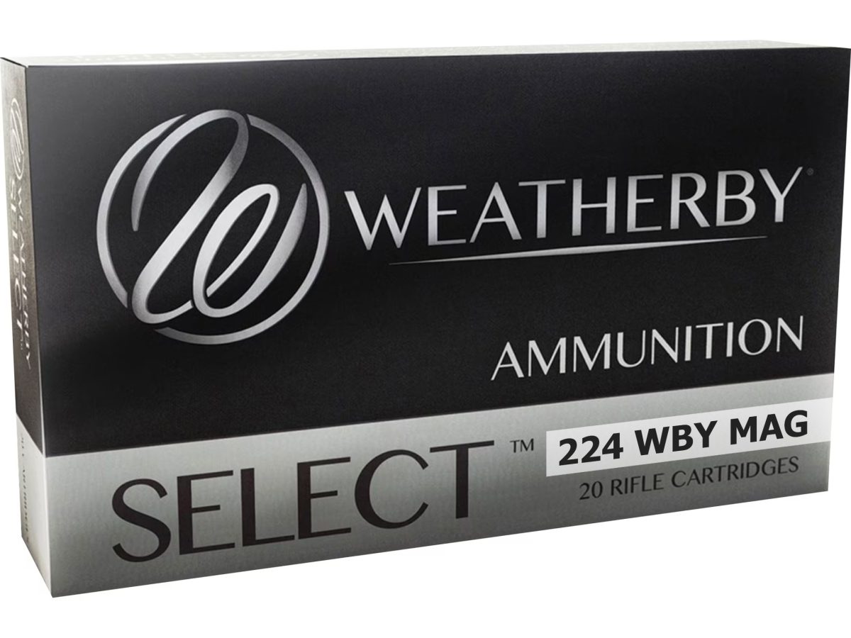 WEATHERBY 224WBY 55GR SPIRE POINT