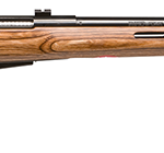 SAVAGE ARMS 25LV 223REM BL/LAM THBHL DBM