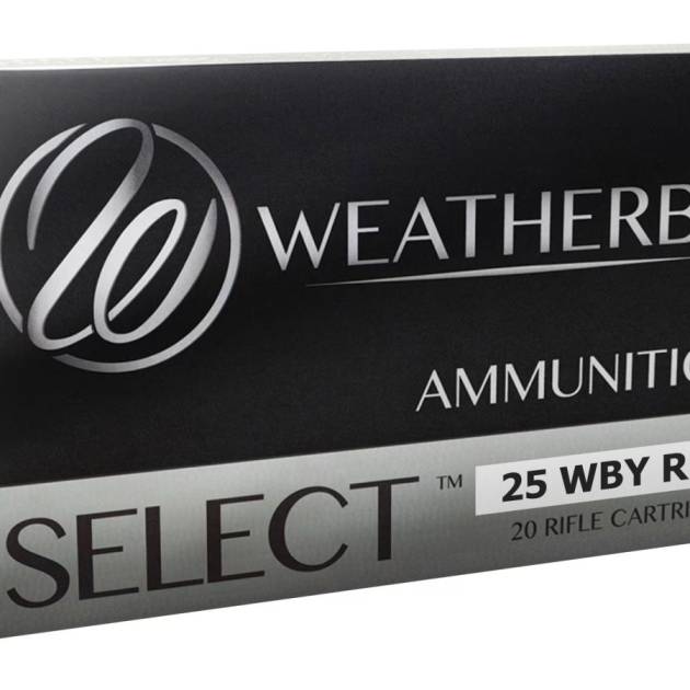 WEATHERBY 25WBY RPM 107GR HAMMER CUSTOM