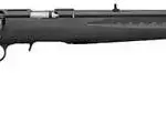 RUGER AMERICAN 22LR 10RD RFL BL/SYN
