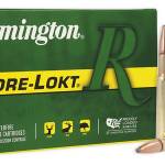 REM 30-40KRAG 180GR CORE PSP20