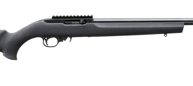 RUG 10/22 22LR 20 LVTB HOG TL