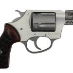 Charter Arms Model 53802 Coyote .380 ACP 2" 5 Rounds Stainless/Rosewood