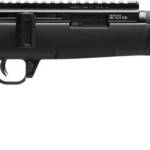 WAI HAM FRC B1 22LR BLK 10RD