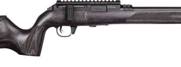 WAI HAM FRC B1 22LR GRY 10RD