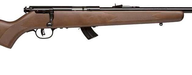 SAV MARK II-GY 22LR BA 10RD B