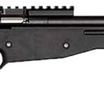 KEYSTONE SPORTING ARMS CRICKETT CPR 22LR BLK