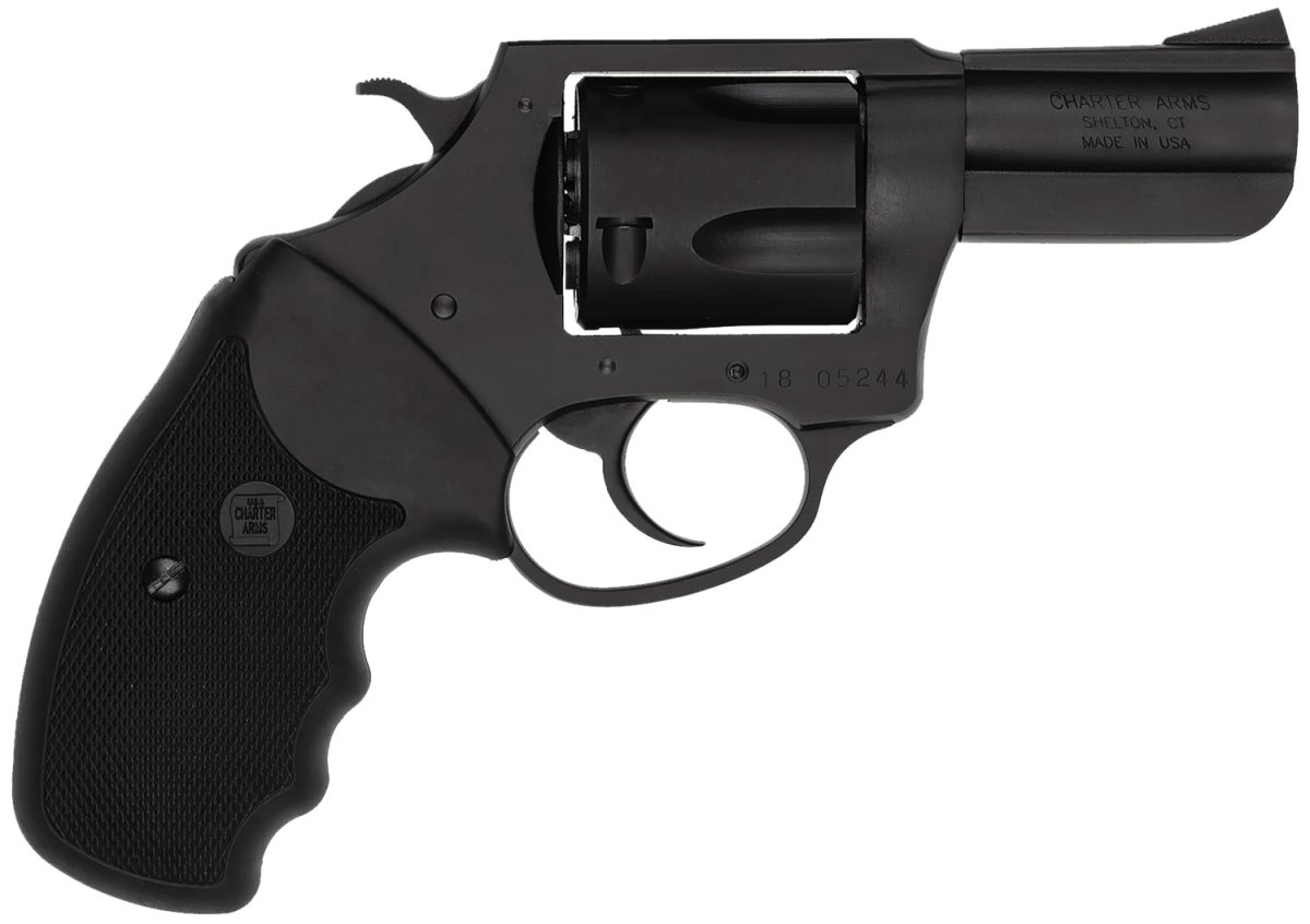 CHARTER ARMS BULLDOG 44SPC BL 2.5"
