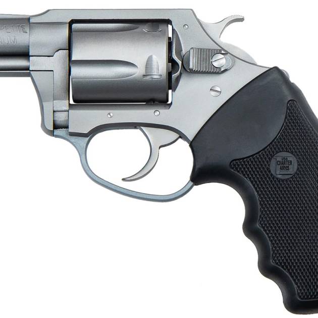 CHARTER ARMS UNDERCOVERETTE 32MAG SS 2"