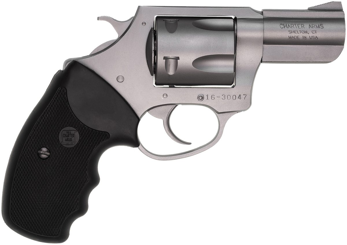 CHARTER ARMS CHARTER PITBULL 40S&W SS 2.3"