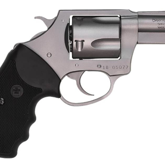 CHARTER ARMS CHARTER BULLDOG 44SPC 2" SS RB