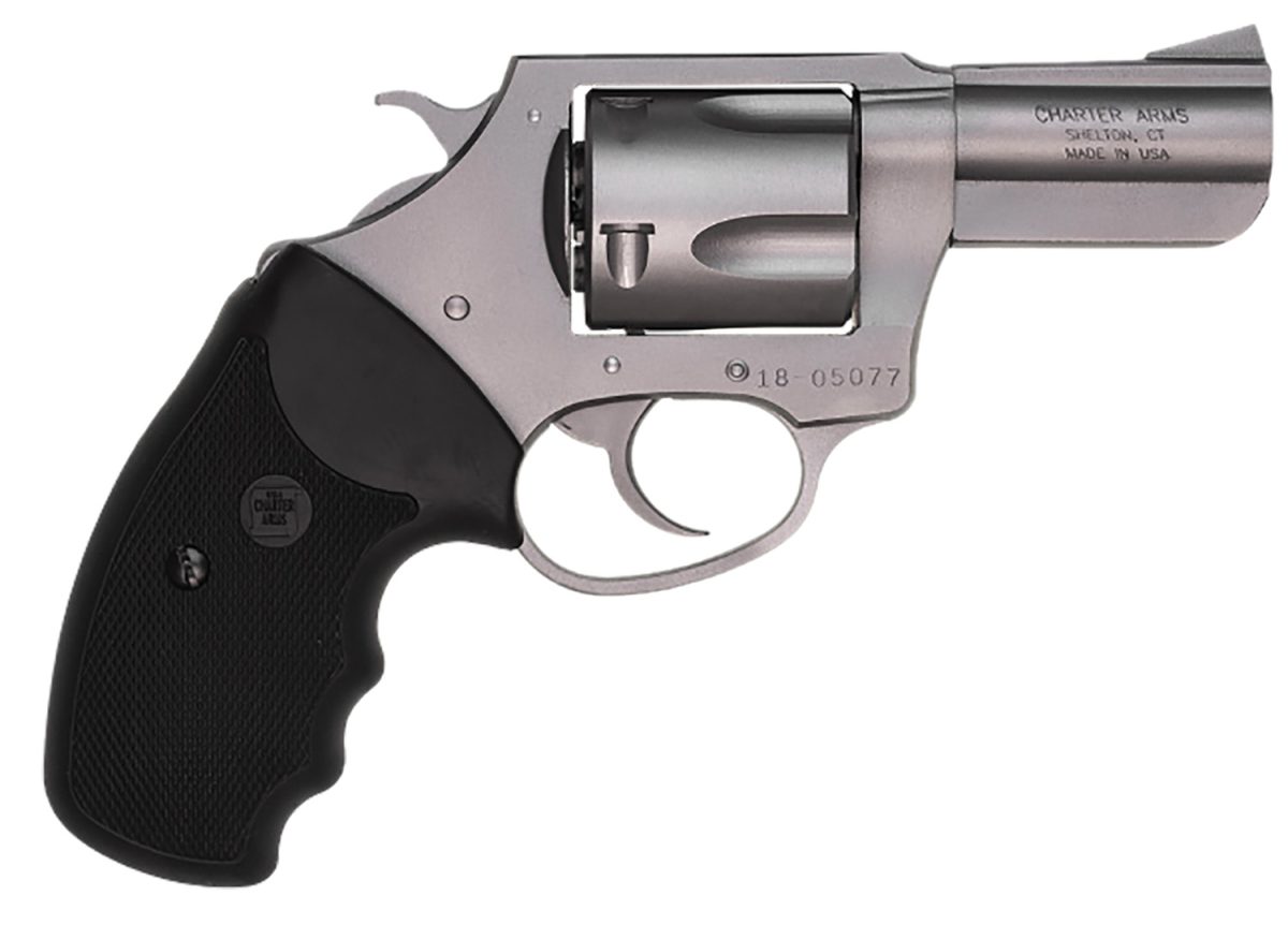 CHARTER ARMS CHARTER BULLDOG 44SPC 2" SS RB