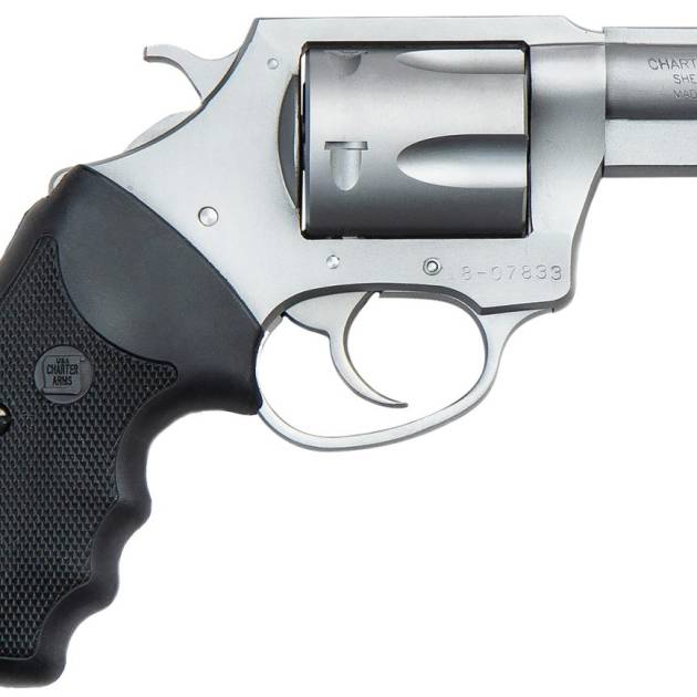 CHARTER ARMS CHARTER PITBULL 9MM SS 2" FS