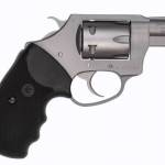 Charter Arms Model 72324 Pathfinder 2" .22 Mag 6 Shot Anodized/Stainless