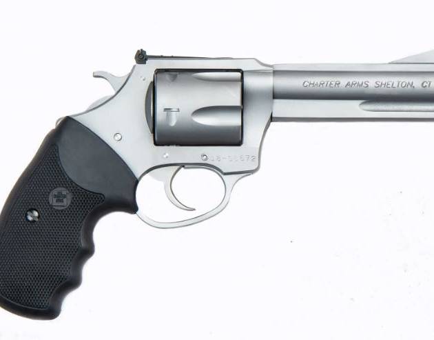 Charter Arms Model 73542 Target Magnum .357 Magnum 4.2" 5 Rounds Stainless Steel