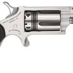 NORTH AMERICAN ARMS THE WASP 22MAG REV 1-5/8" SS