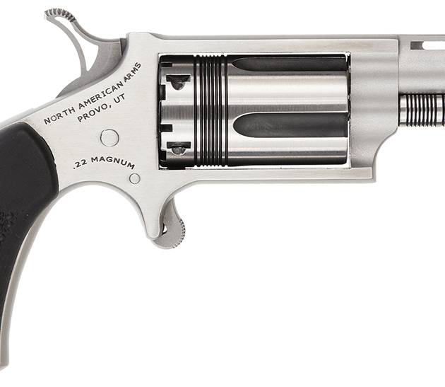 NORTH AMERICAN ARMS THE WASP 22MAG REV 1-5/8" SS