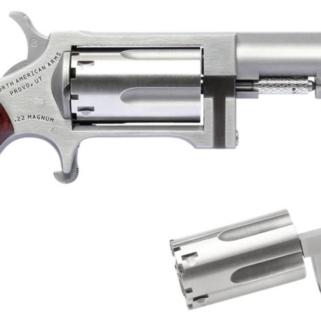 NORTH AMERICAN ARMS SIDEWINDER 22M/22LR 2.5" SS