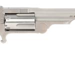 NORTH AMERICAN ARMS RANGER II 22MAG 4" SS #