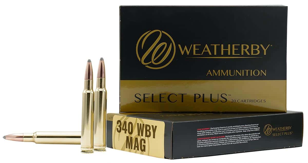 WEATHERBY 340WBY 225GR BARNES TTSX