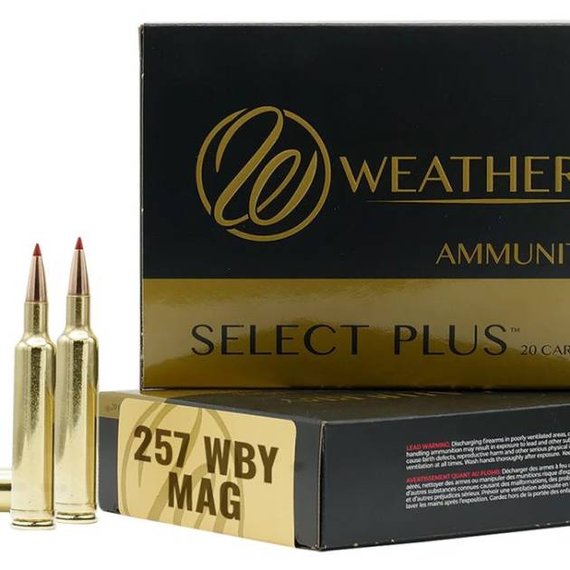 WEATHERBY 257WBY 100GR TSSX