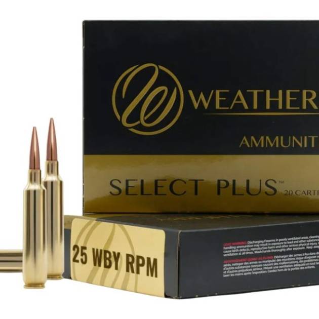 WEATHERBY 25WBY RPM 117GR BARNES LRX