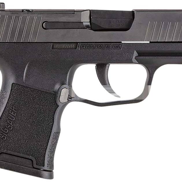 SIG SAUER P365 380ACP BLK 10+1 NS