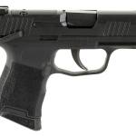 SIG SAUER P365 380ACP BLK 10+1 NS SFTY