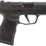 SIG SAUER P365X 9MM NITRON 3.1" 10+1 NS