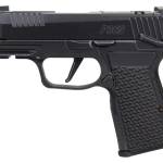 SIG SAUER P365 AXG LUXE 380ACP MS CA