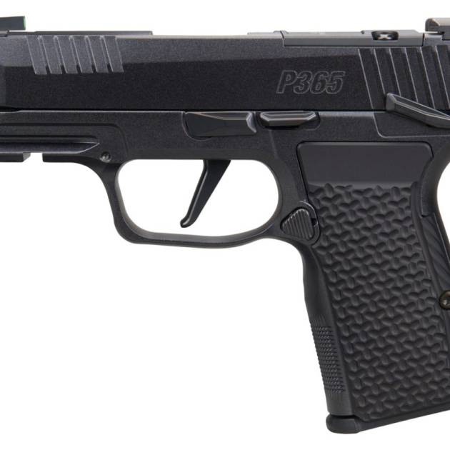 SIG SAUER P365 AXG LUXE 380ACP MS CA