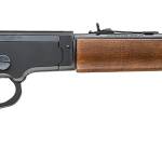 CHIAPPA FIREARMS LA BANDIT TAKEDOWN 22LR 12"