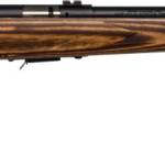 SAV 93R17-BV 17HMR B