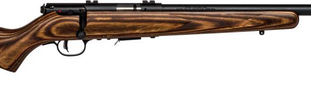 SAV 93R17-BV 17HMR B