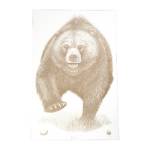 ACTION TGT AK STATE PARK BEAR 100PK