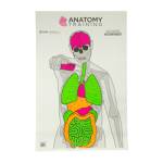 ACTION TGT ANATOMY TRNG 100PK