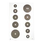 ACTION TGT CIR COMMAND TRNG 100PK